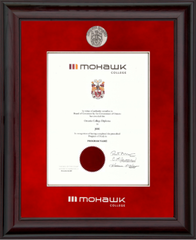 HONOUR FRAME- 120953 glossy mahogany wood, red velvet mat board, silver fillet, medallion and embossed logo. VERTICAL